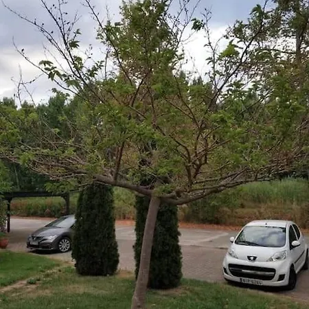 בית נופש Artemis *